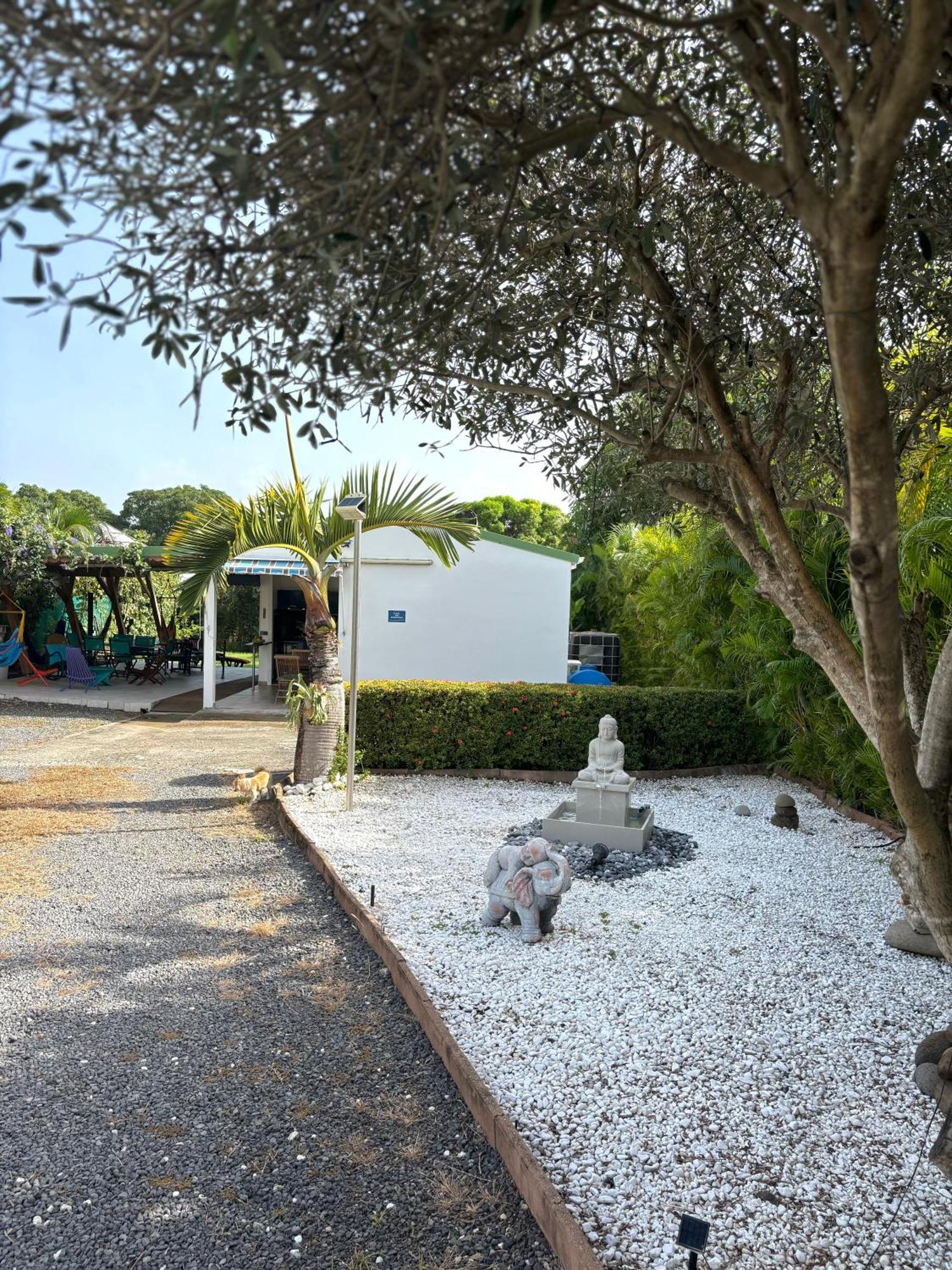 Gites Les Bienheureux - Piscine, Hamak, Terrasse Anse-Bertrand المظهر الخارجي الصورة