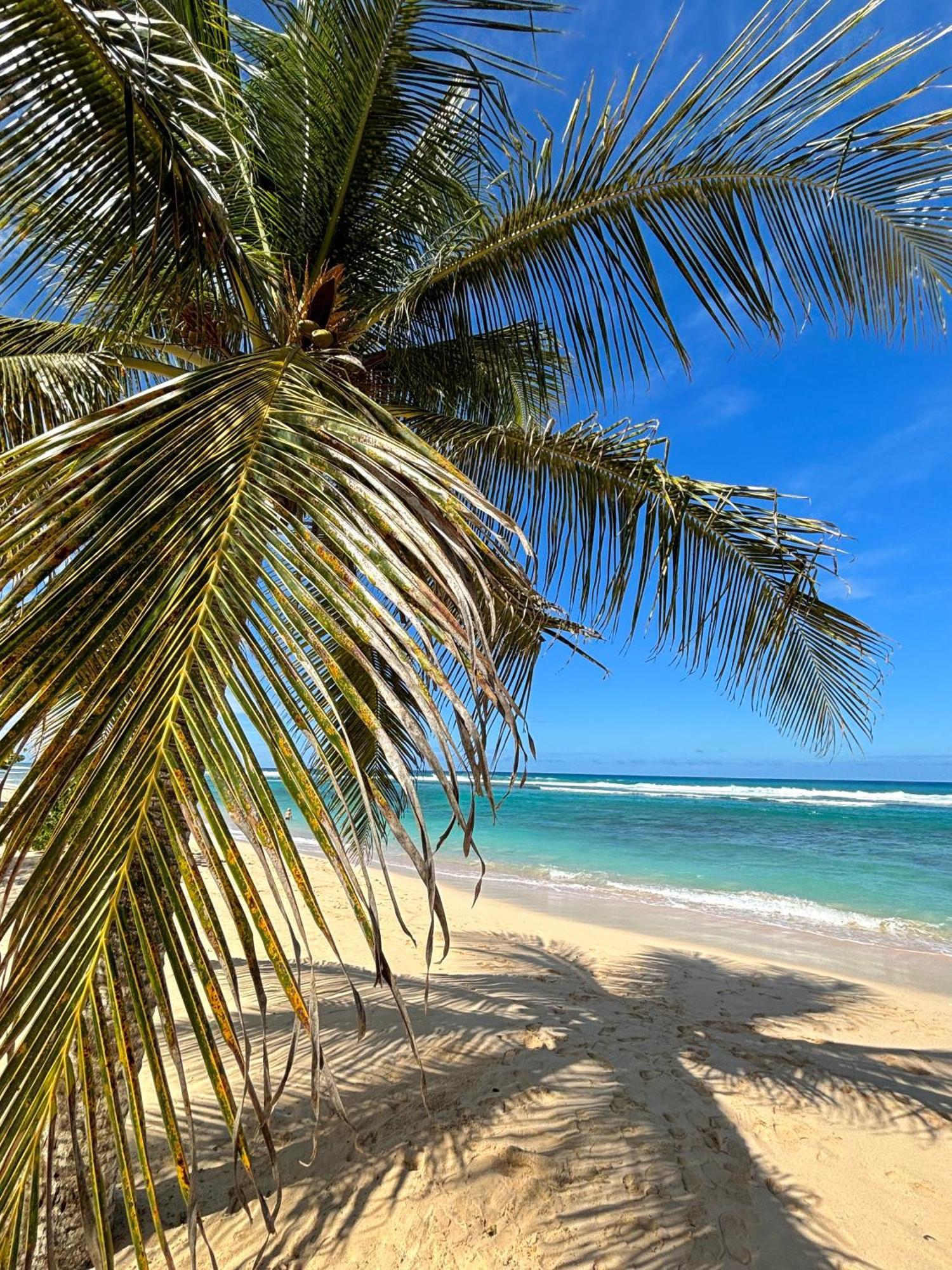 Gites Les Bienheureux - Piscine, Hamak, Terrasse Anse-Bertrand المظهر الخارجي الصورة